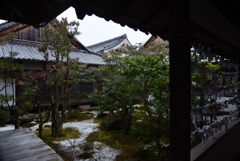 210112仁和寺01