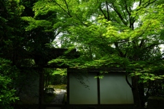180529b金福寺49+