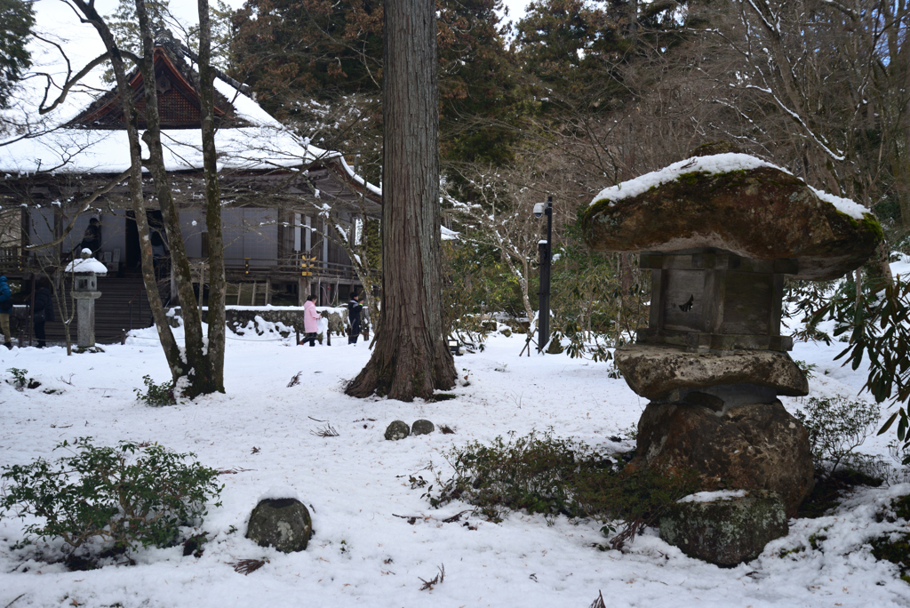 250210a大原三千院26