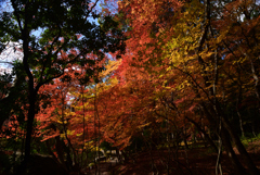 211202a醍醐寺37