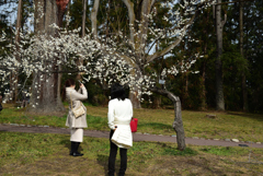 190222a京都植物園54