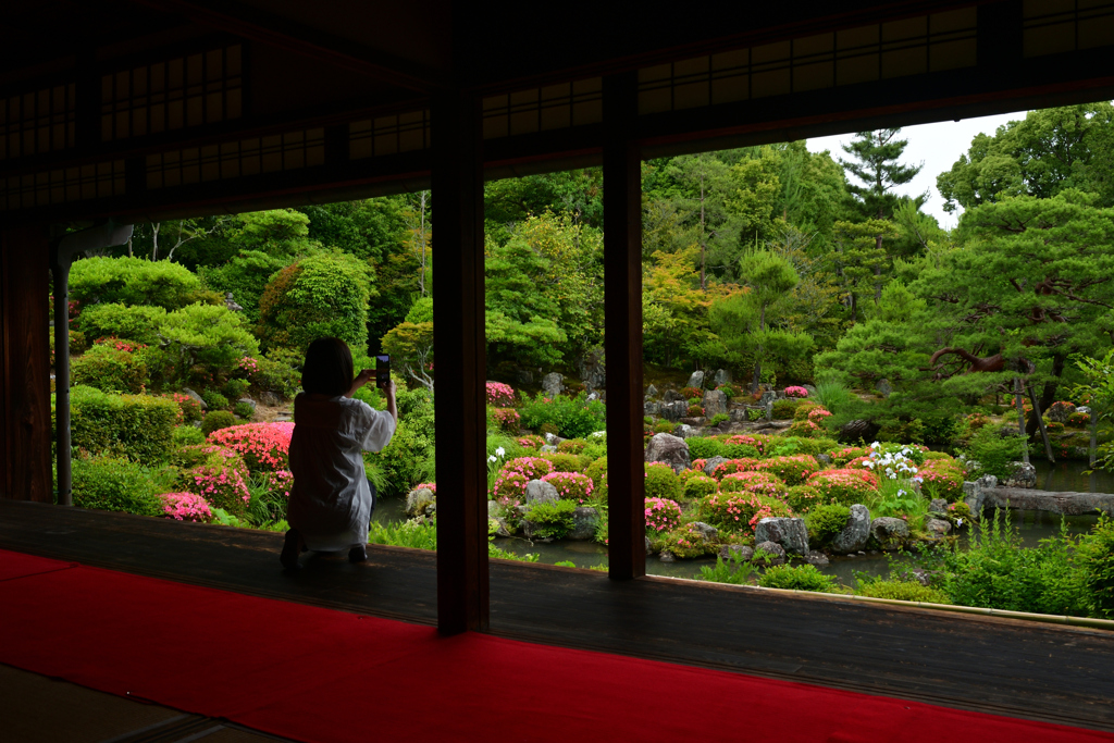 230604a等持院47