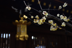 210211b北野天満宮34