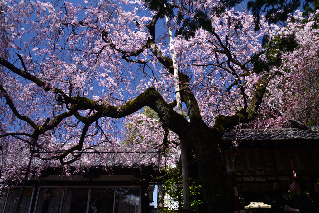 230322b水火天満宮05