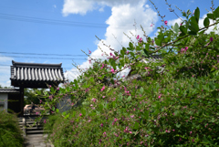210905m常林寺43