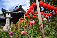 221021bおふさ観音07