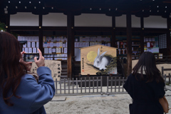 230102下鴨神社16