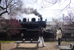 250307d梅小路公園31