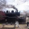 250307d梅小路公園31