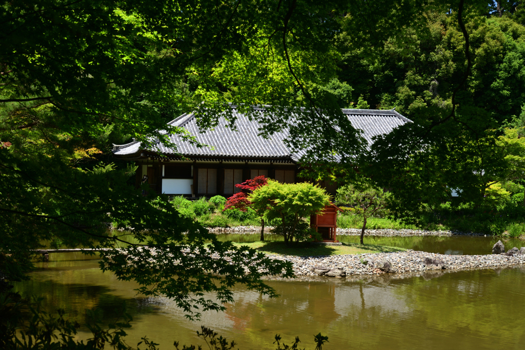 220612b浄瑠璃寺31