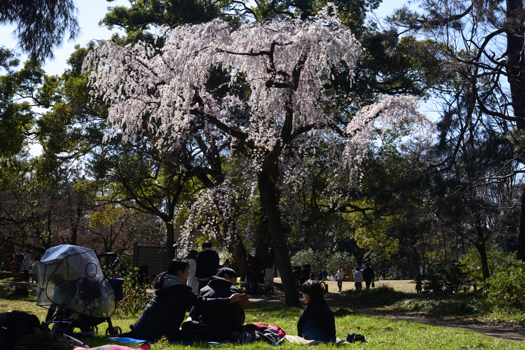 200320h京都御苑37