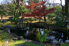 211216b京都御苑40
