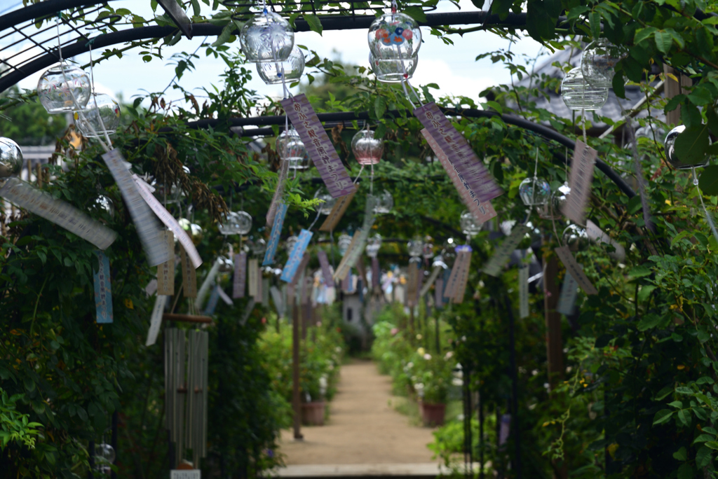 220720bおふさ観音38