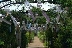 220720bおふさ観音38