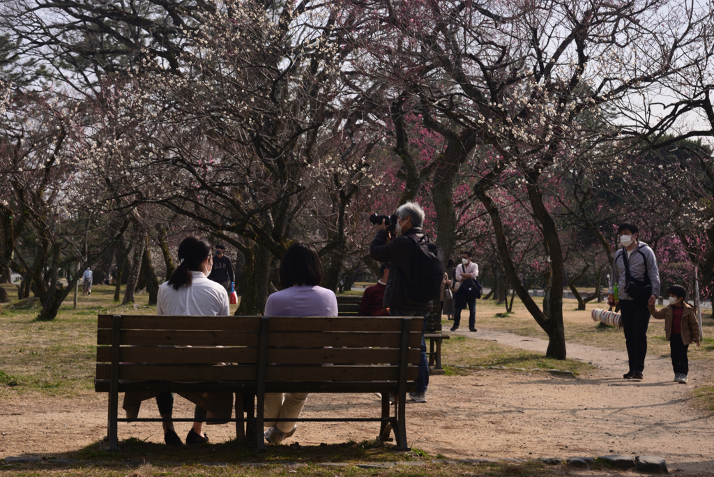 220312b京都御苑23