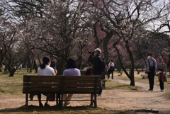 220312b京都御苑23