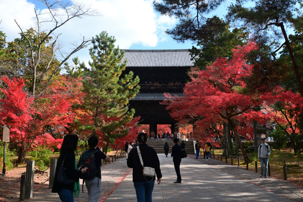 231130a南禅寺02