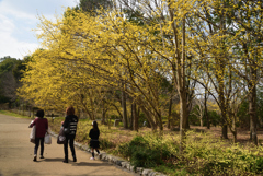 200318馬見丘陵公園13
