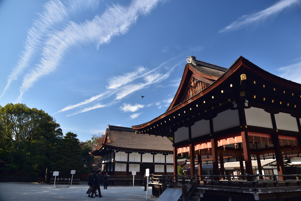 191210b下鴨神社06