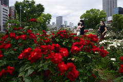 200522中之島公園57