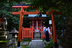 191102c哲学の道44