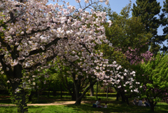 190422b京都御苑50