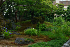 250924bだるま寺33