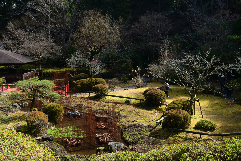 240224a石山寺41