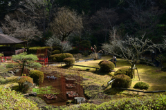 240224a石山寺41