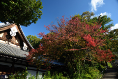 191110a宝塔寺21