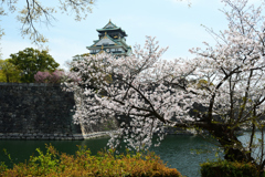 250408a大阪城45