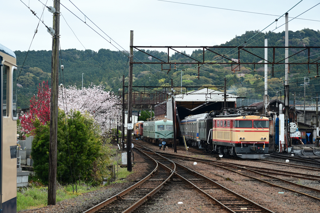 250406f大井川鉄道06