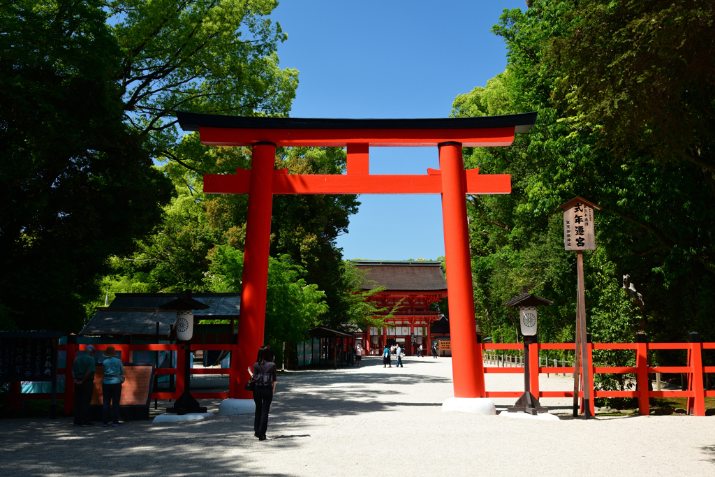 250513下鴨神社29