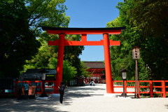 250513下鴨神社29