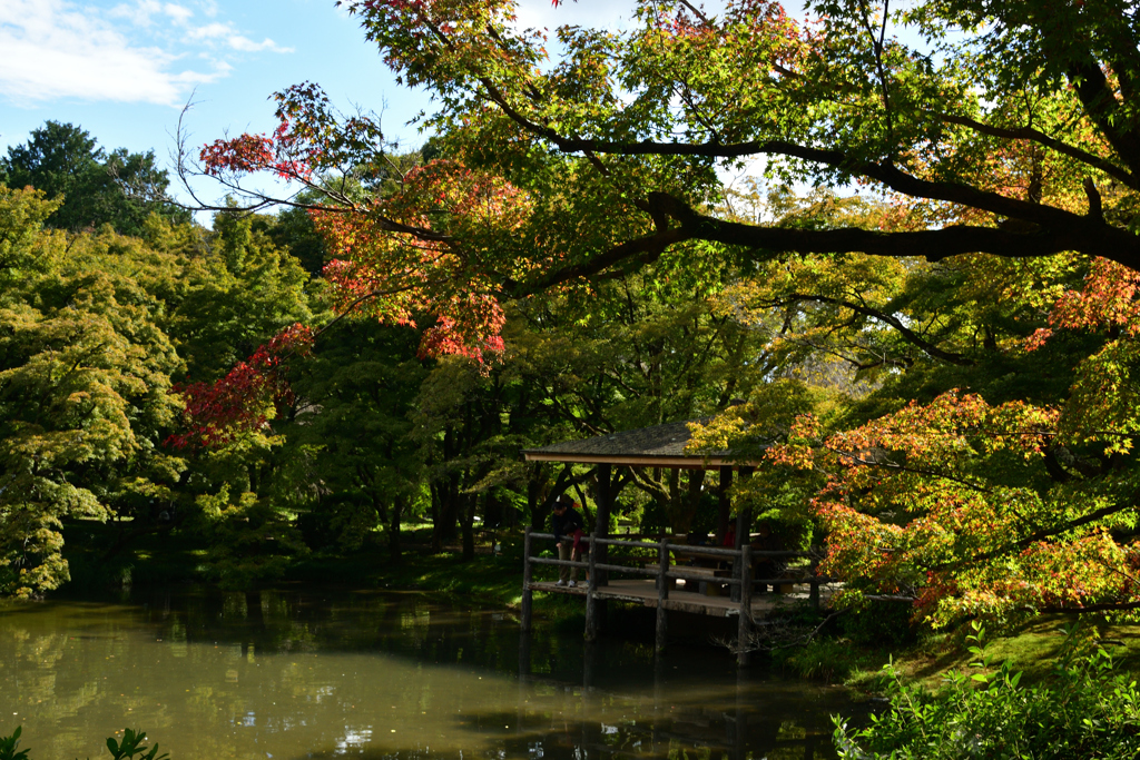 2501028京都植物園36