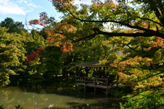 2501028京都植物園36