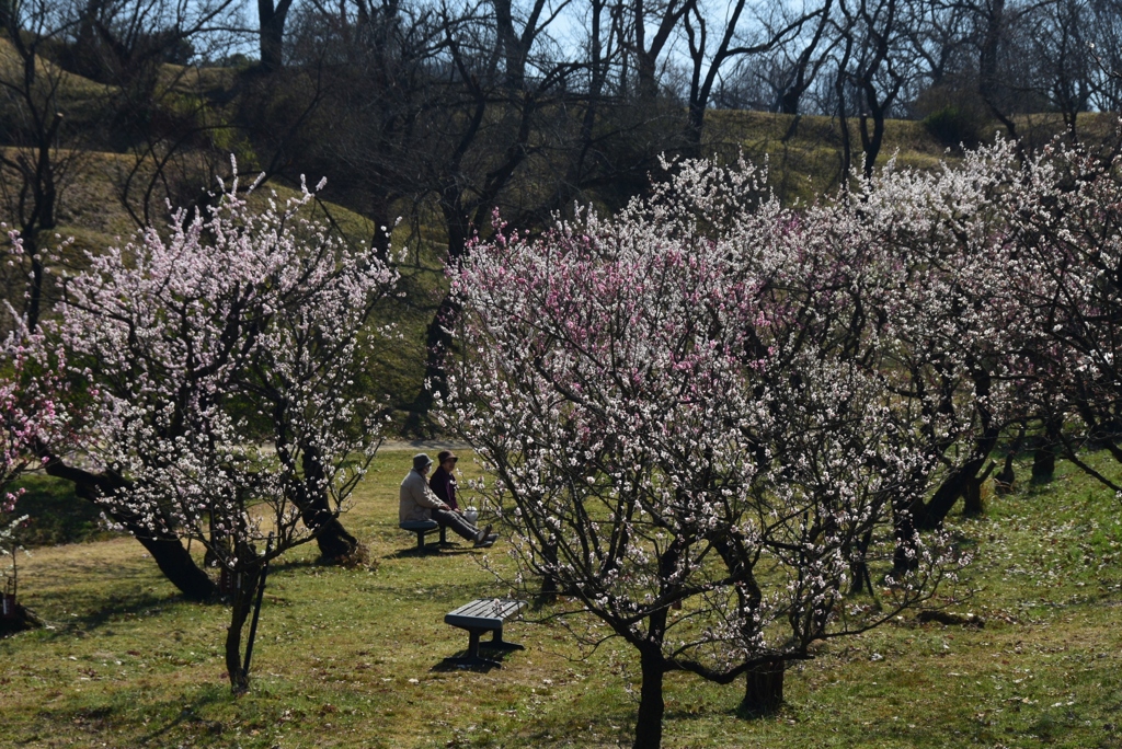 180314b市大植物園44