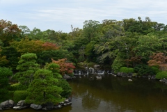 180924a万博公園16