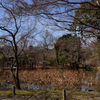 220209京都植物園45