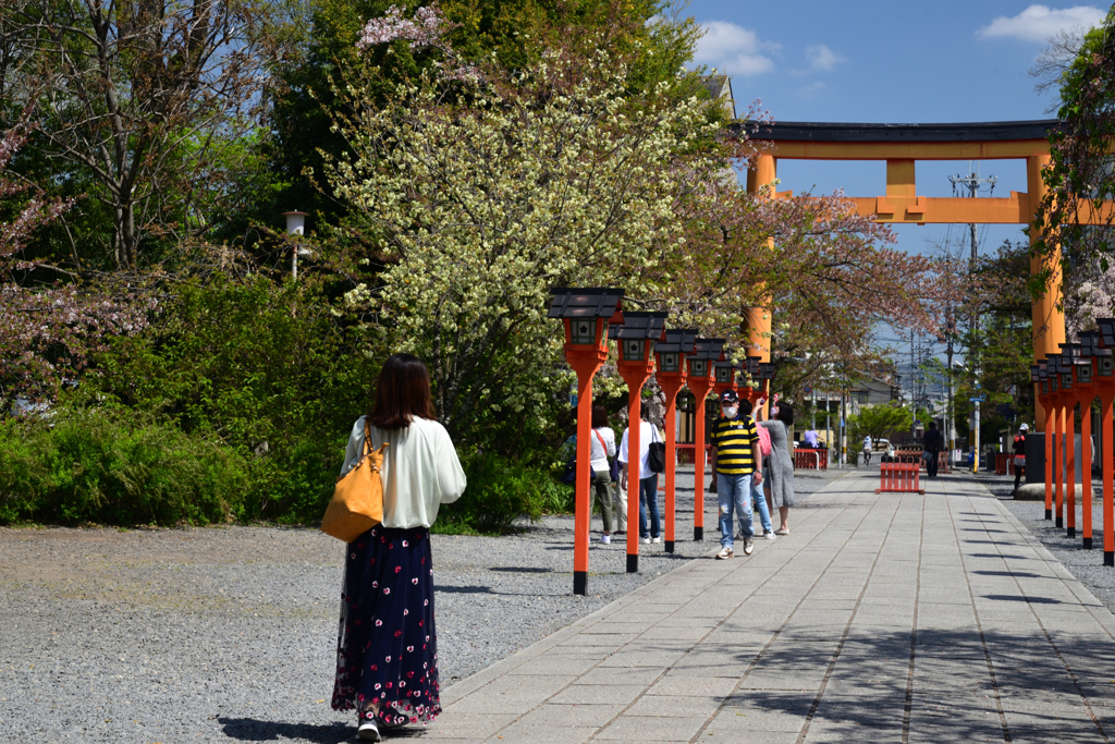220412b平野神社36