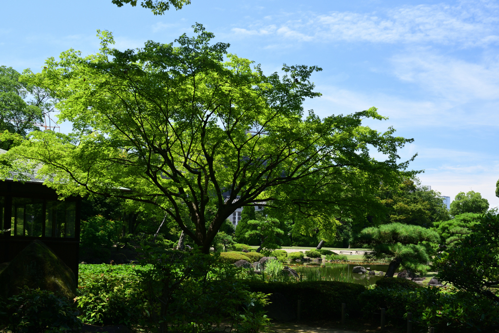 230711b慶沢園46