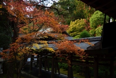 181125d龍安寺49