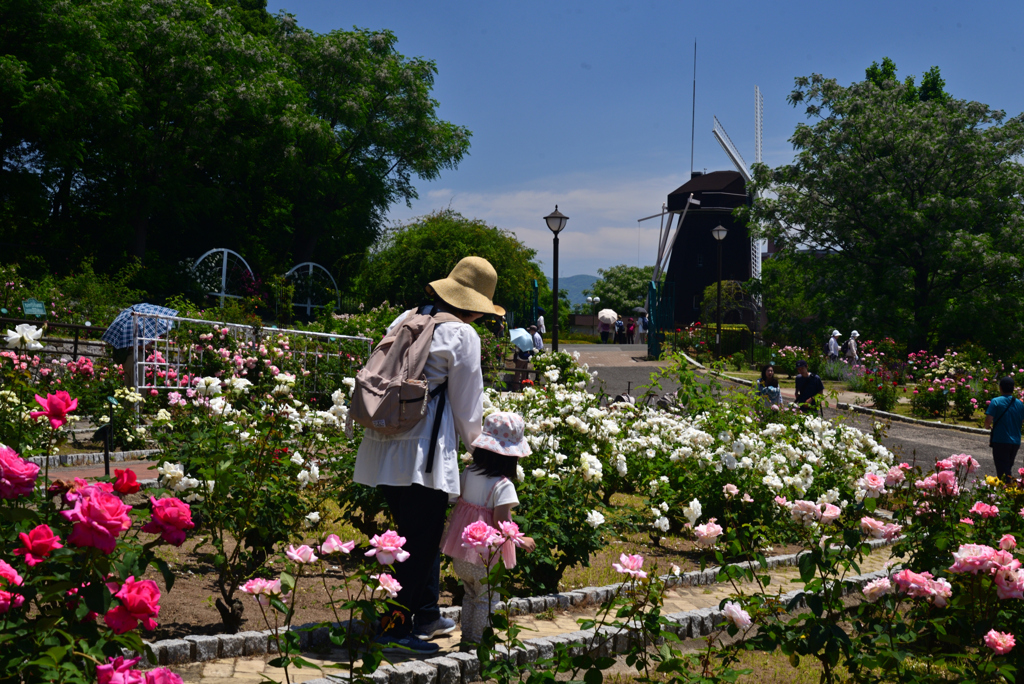 240518鶴見緑地17