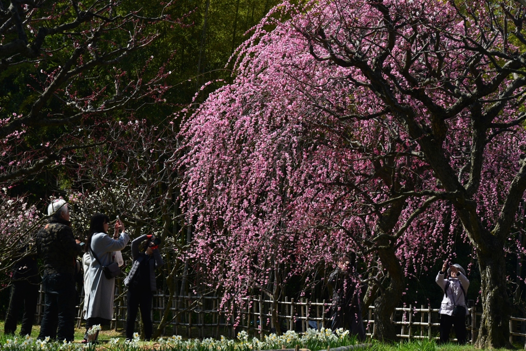 180310万博公園12