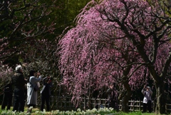 180310万博公園12