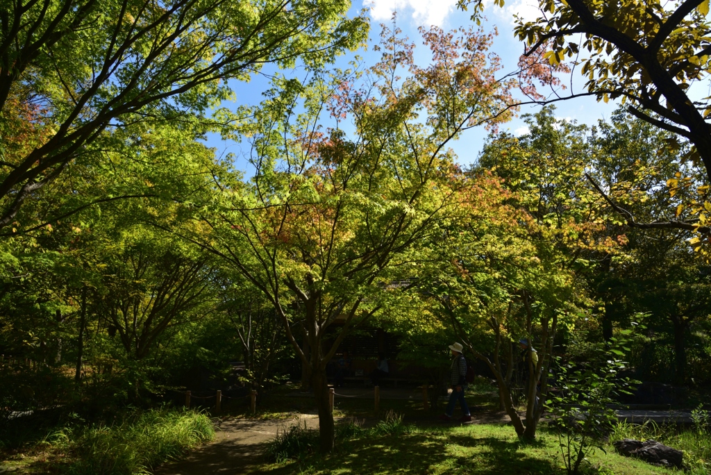 181009馬見丘陵45+