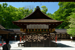 250513下鴨神社17