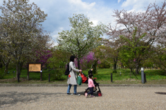 210408a京都植物園44