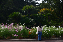 241025京都植物園05