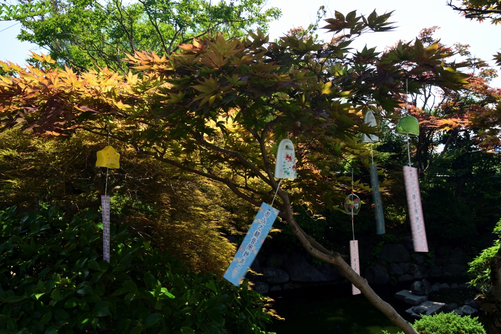 180715bおふさ観音16+